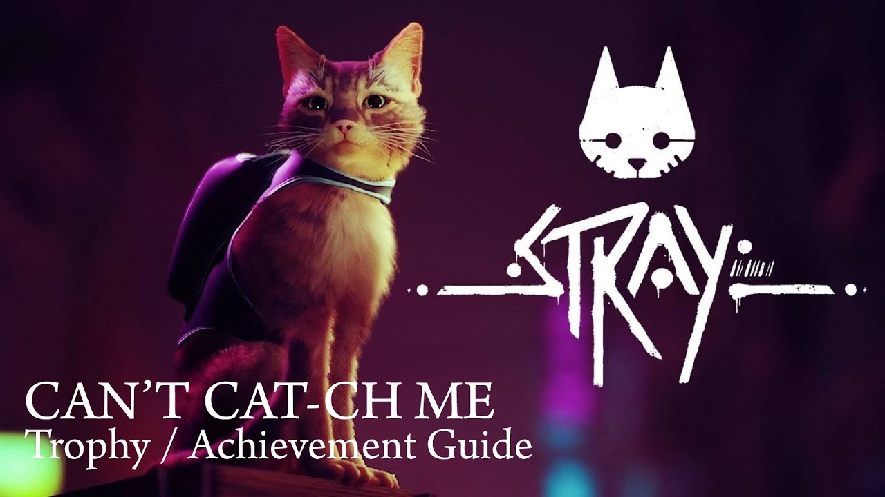 Stray - Can't Cat-ch Me (Trophy / Achievement Guide)