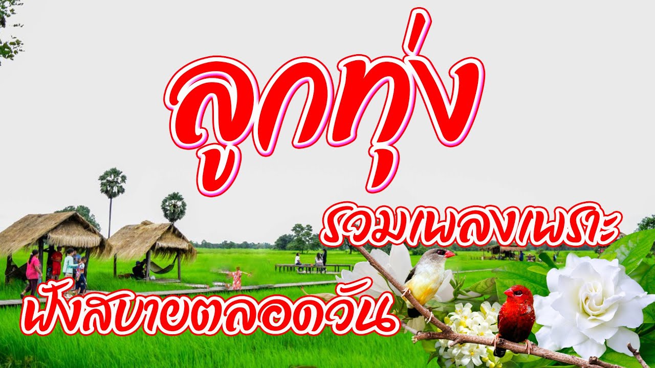 รวมเพลงลูกทุ่งเพราะฟังสบายตลอดวัน