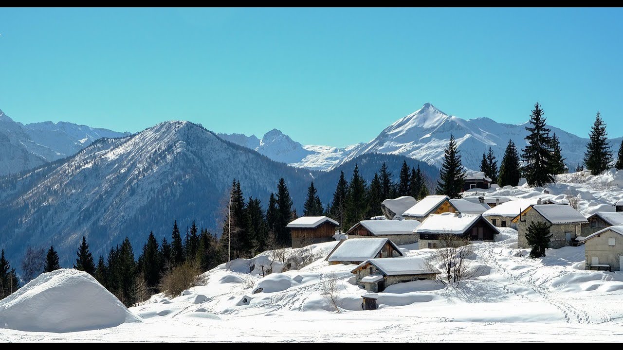White Noise | Cold Wind in a Snowy Landscape for Deep Sleep & Calm