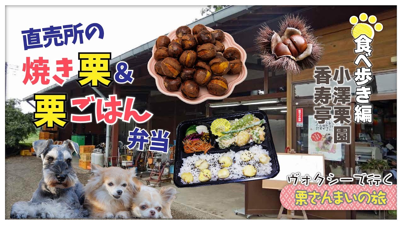 【栗ざんまいの旅・食べ歩き編】鎌倉時代から続く栗園の直売所で焼き栗を購入＆秋の味覚を詰め込んだ栗ごはんをテイクアウト｜新型ヴォクシーで車中めし【茨城県笠間市・小澤栗園／いばらき食彩　香寿亭】
