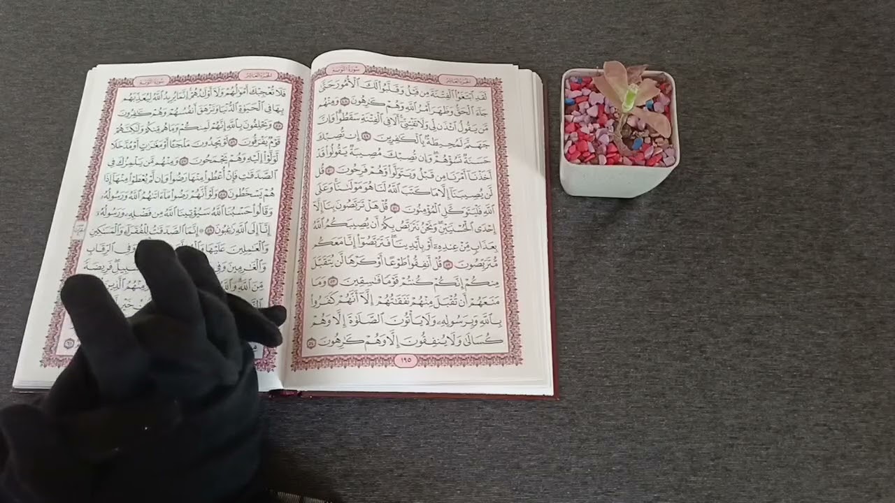 استخارة عامّة بالقرآن الكريم لمواليد برج العقرب نتحدث فيها في كافة مجالات الحياة