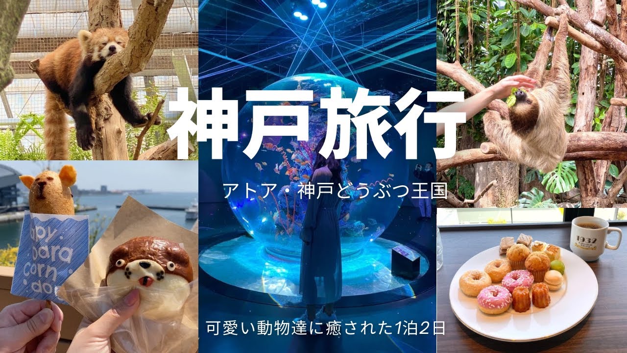 神戸旅行|アトア国内最大級の球体水槽✨神戸動物王国🦥オフスプリングのライブ🎵楽しすぎた1泊2日🩷