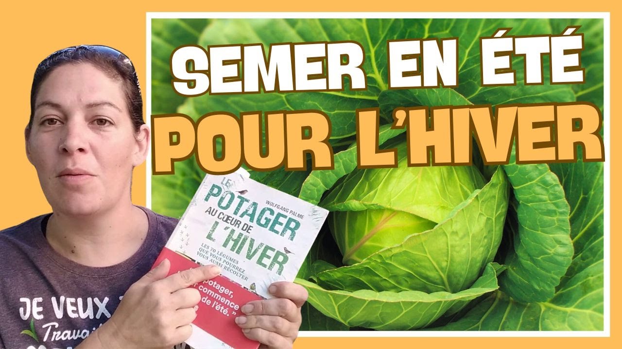 👩‍🌾 12 cultures à semer en été pour le potager d'automne/hiver
