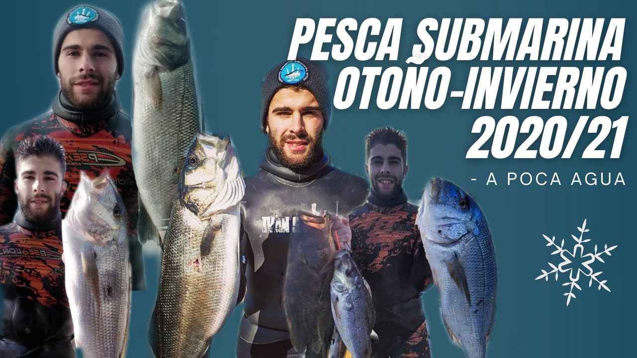 Pesca Submarina🐟 | 🍁Otoño - ❄Invierno | 2020 - 2021 A poca y muy poca agua🔥🔥