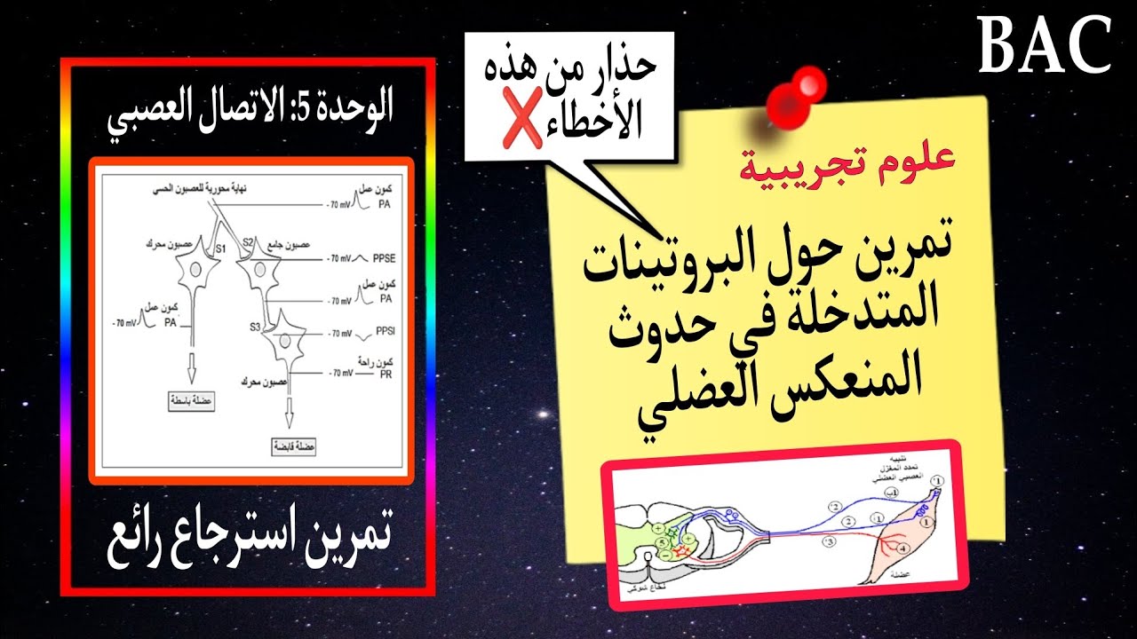 🔥أروع تمرين في الوحدة 5 حول المنعكس العضلي والبروتينات المتدخلة من باك 2018 🤚🏻بكالوريا