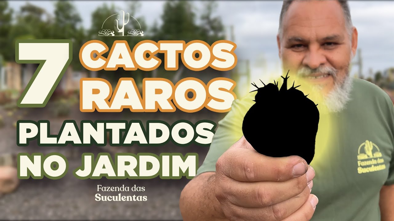 7 CACTOS RAROS plantados no JARDIM DA FAZENDA DAS SUCULENTAS