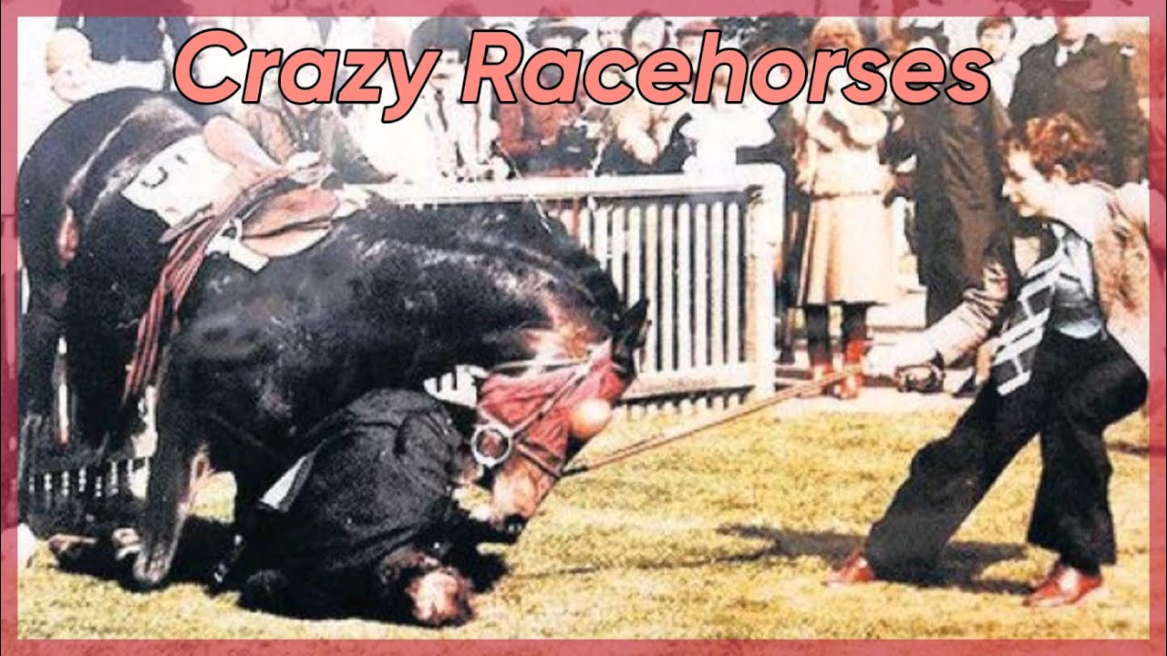 Crazy Racehorses Part 1! (Whirlaway,Halo,Ubedizzy,)