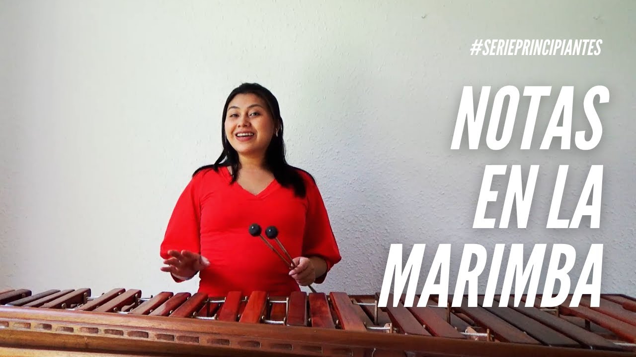 Tutorial para Principiantes: Notas en la Marimba
