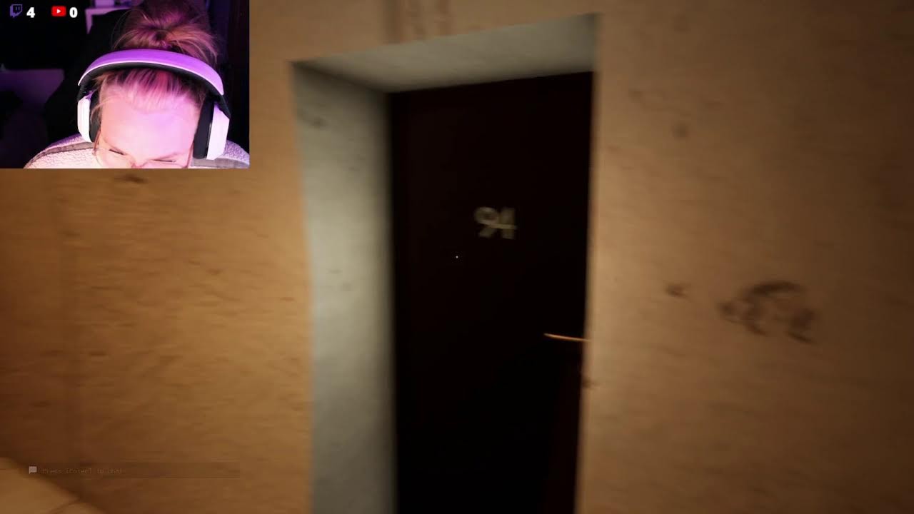 escape the backrooms with the bro