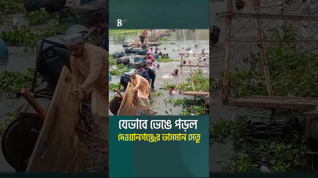 যেভাবে ভেঙে পড়ল দেওয়ানগঞ্জের ভাসমান সেতু | Floating Bridge Collapse | The Business Standard