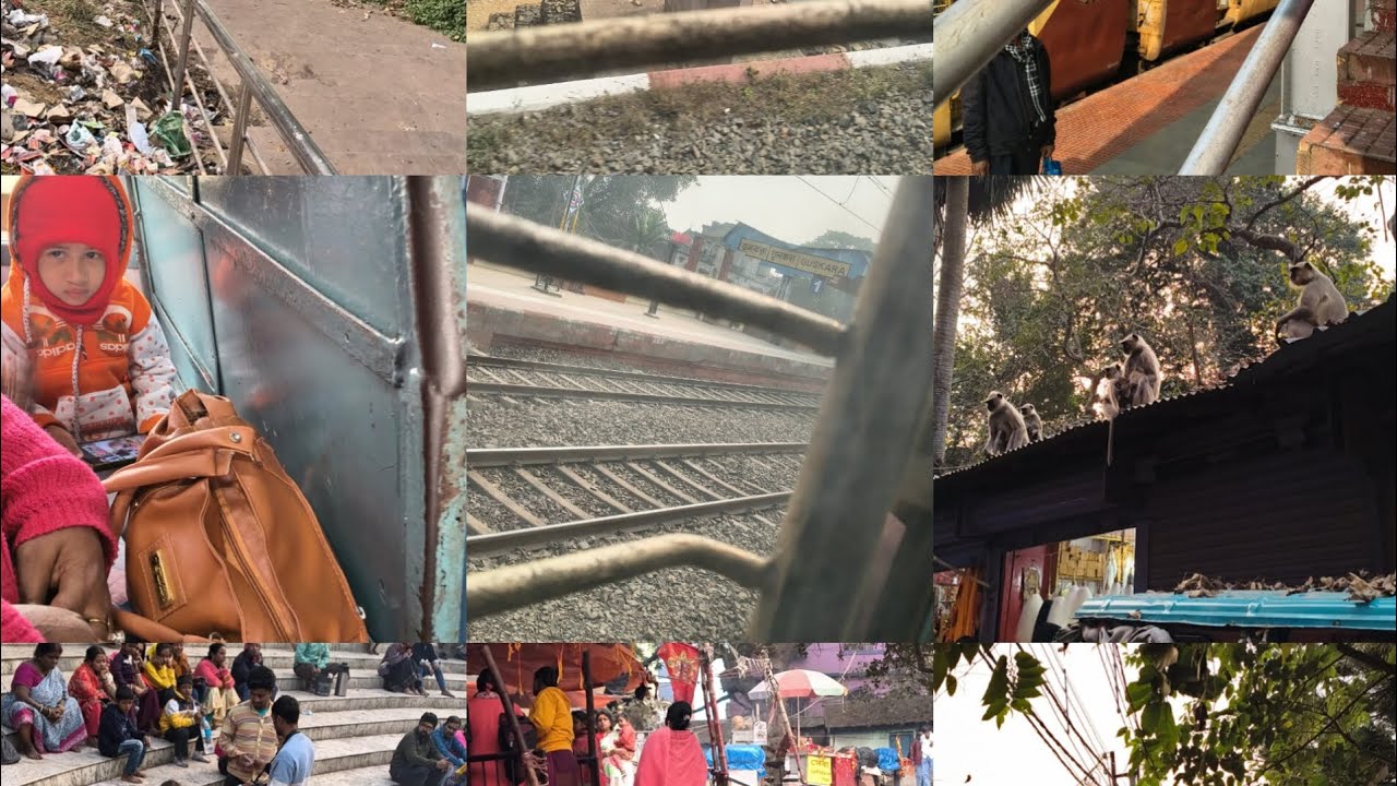 তারাপিঠ পাট -১ 