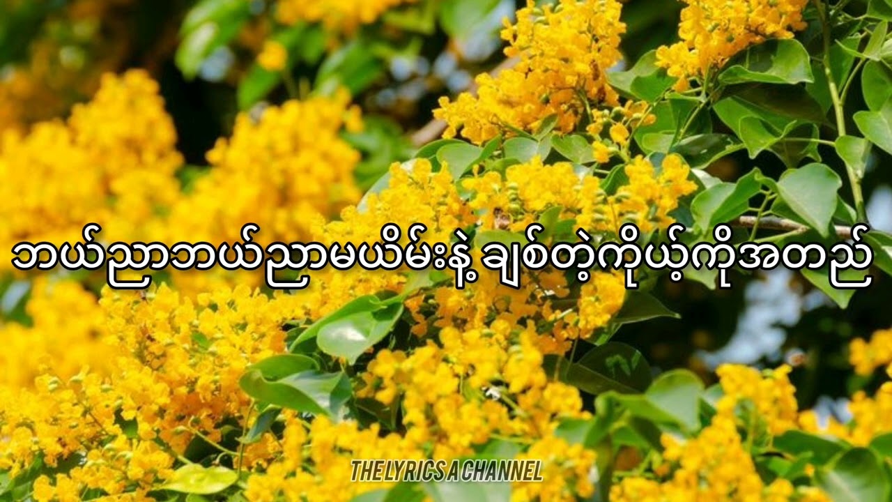 ယိမ်းသမလေးရေ - ဝိုင်းလမင်းအောင် (Lyrics)