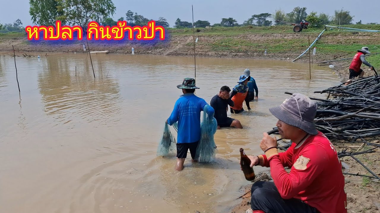 หว่านแห หาปลา กินข้าวป่า - ตกปลา หาอยู่หากิน