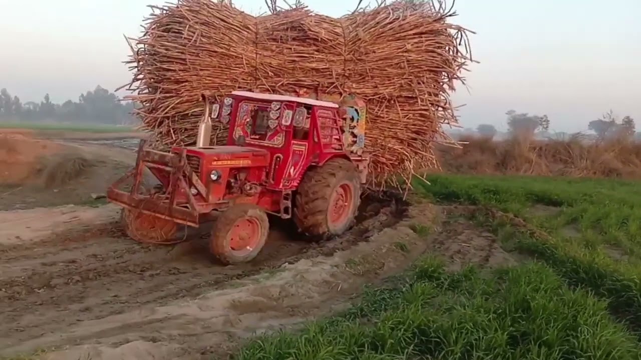 اكبر حموله لجرار بيلاروس قديم