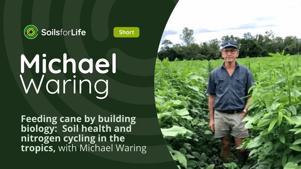 Feeding cane by building biology:  Soil health and nitrogen cycling in the tropics, Michael Waring