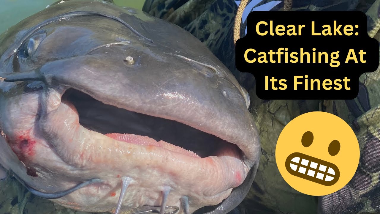Clear Lake: Catfishing At Its Finest