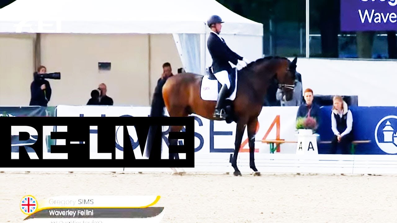 RE-LIVE | Qualifier 6 y/o | FEI WBFSH Dressage World Breeding Champs. for Young Horses 2021| Verden