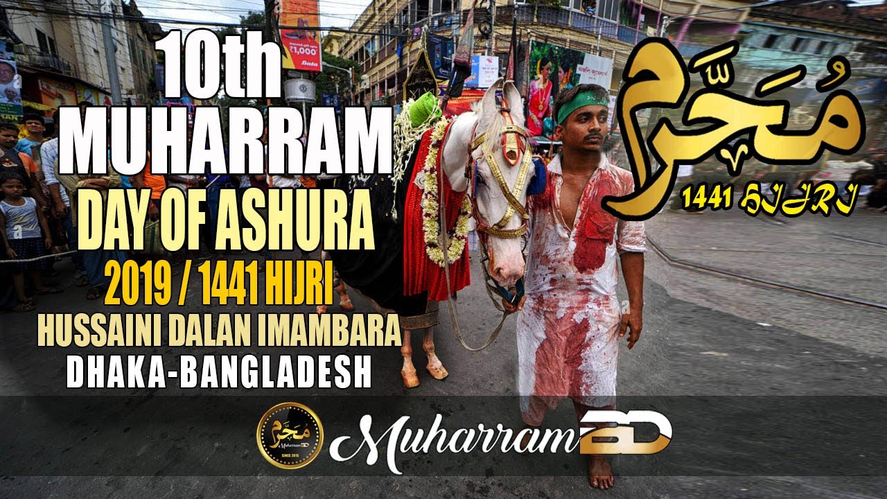 ইমাম হুসাইনের দুলদুল এবং আশুরার শোক মিছিল│Procession The Day of Ashura 2019│Muharram BD