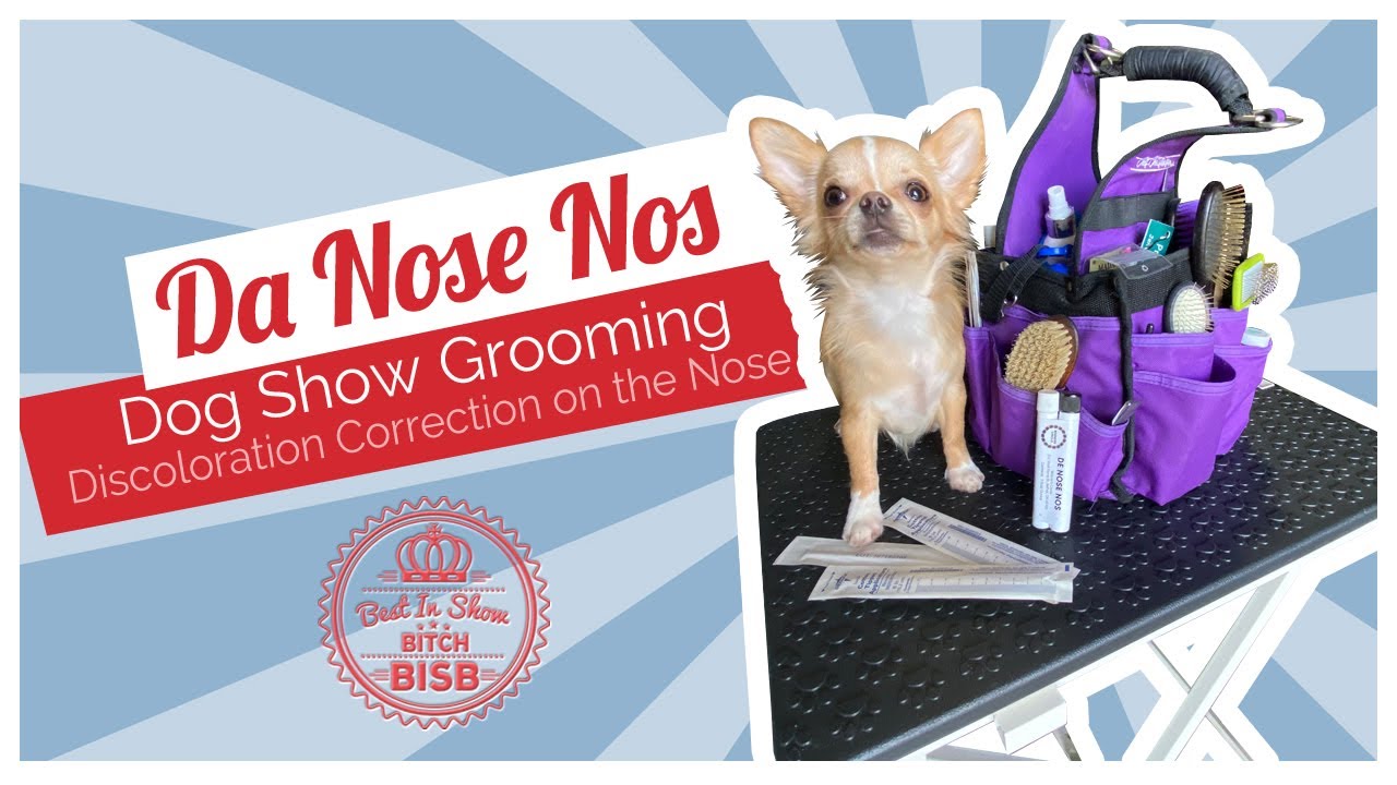 Show Ring Tips and Tricks - Dog's Nose Discoloration