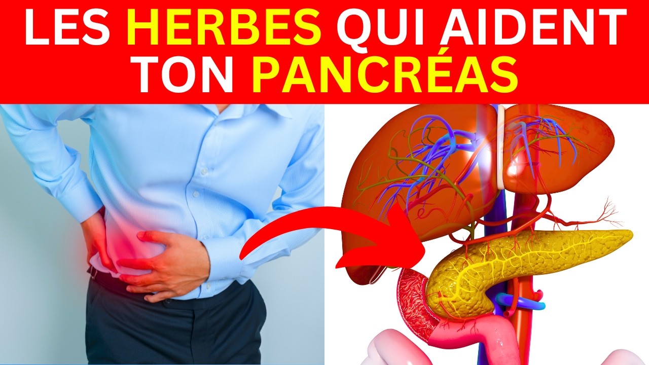 TON PANCRÉAS TE REMERCIERA DE PRENDRE CETTE PLANTE !