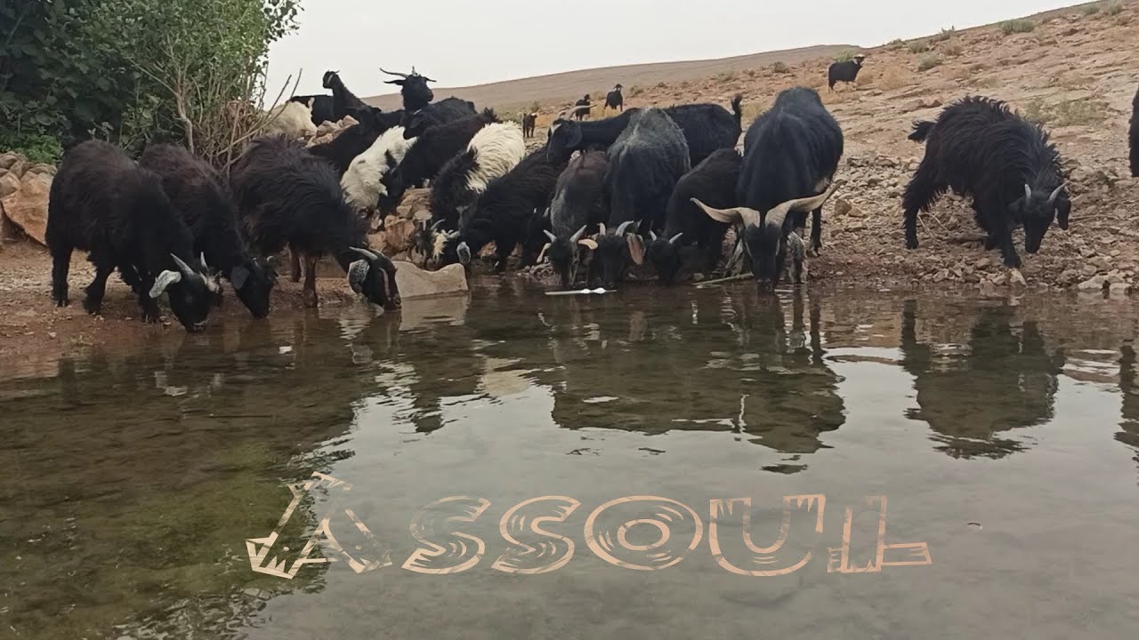 Aghbalou Ain el Aati Assoul Province Tinghir 01/07/2020 أغبالو عين العاطي أسول تنغير