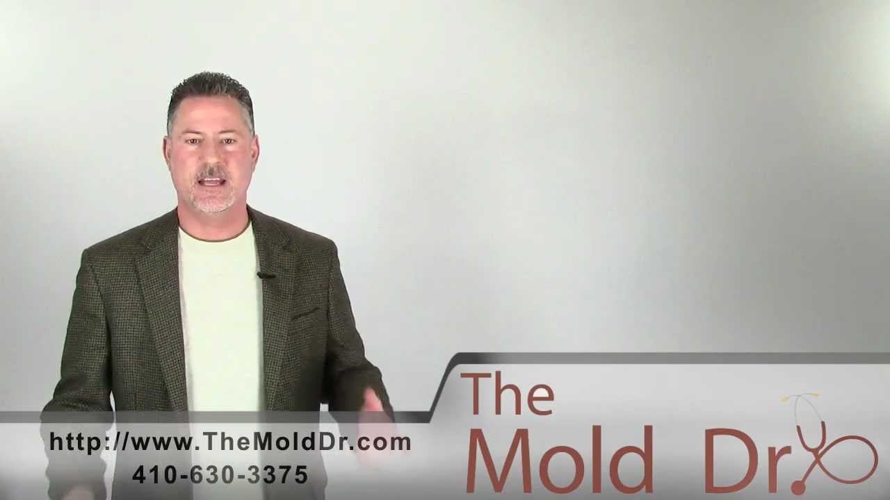 Do I need a mold test?