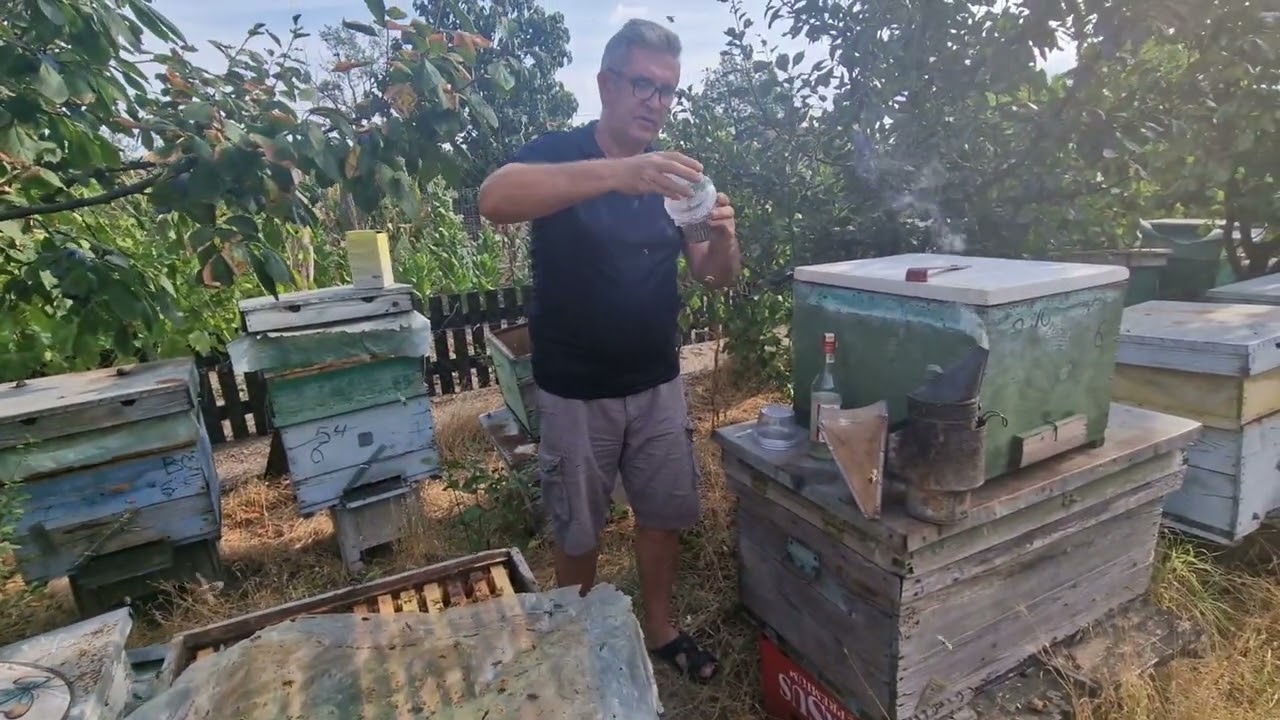 Zero păduchi varooa!, testul,cu alcool!