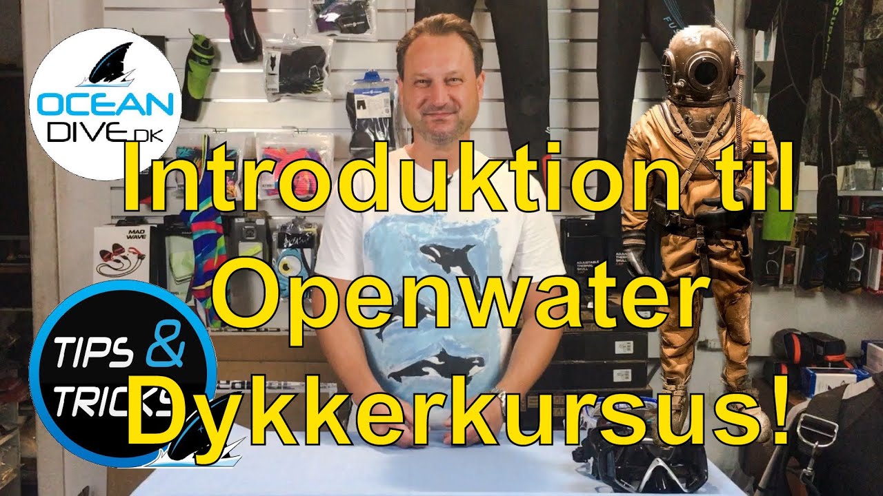Introduktion til Openwater Dykkerkursus!