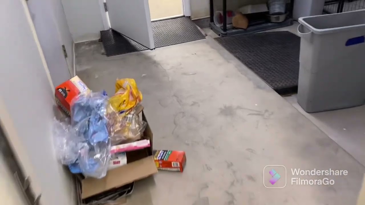 Come To Work With Me. Day In A Life. Kennel Tech!