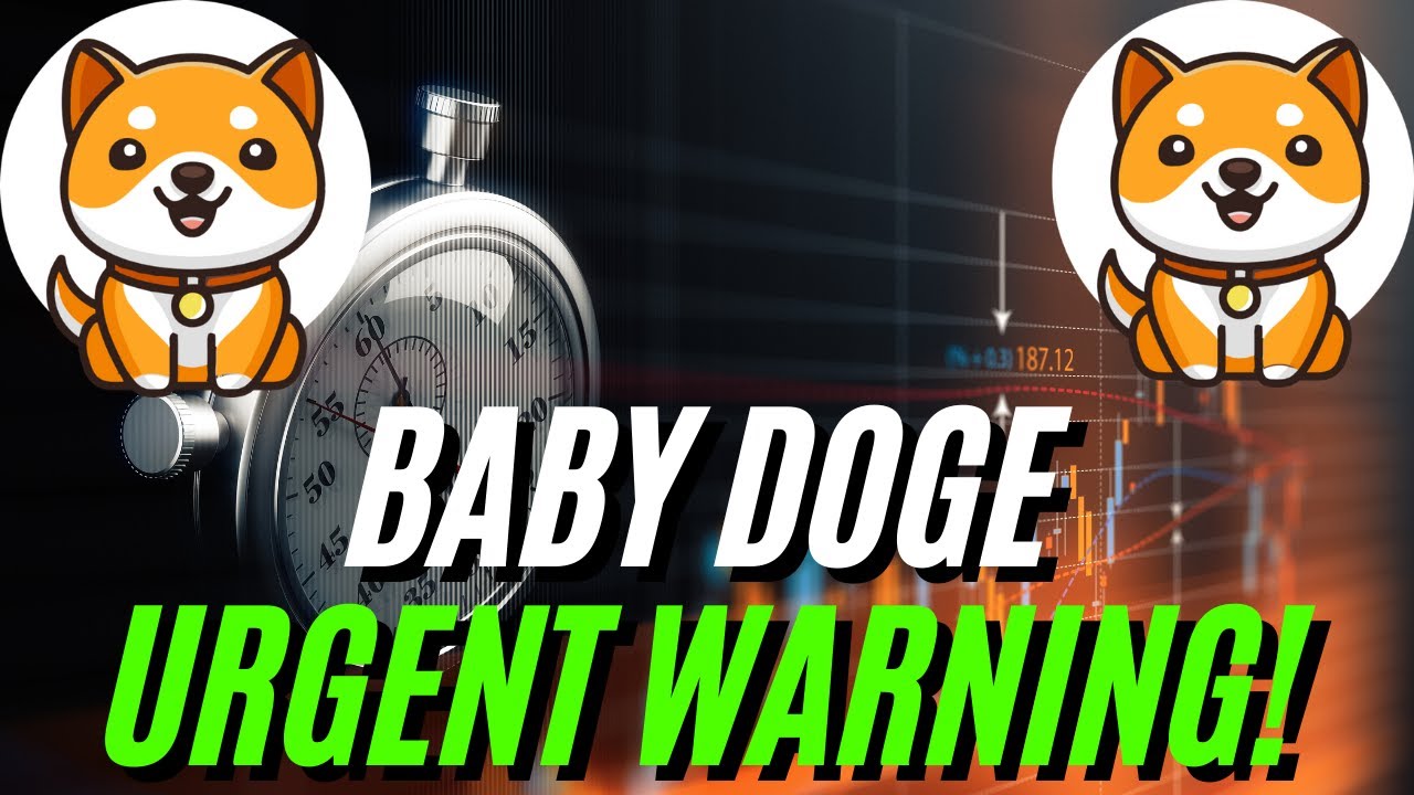 ATTENTION BABY DOGE COIN HOLDERS: PREPARE FOR THIS NEXT MOVE!