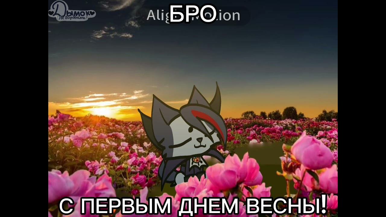 С первым днём весны!🌺😸(ft.Дымок(Я))#дымок🖤#симба#симбатоп#дымоктоп 