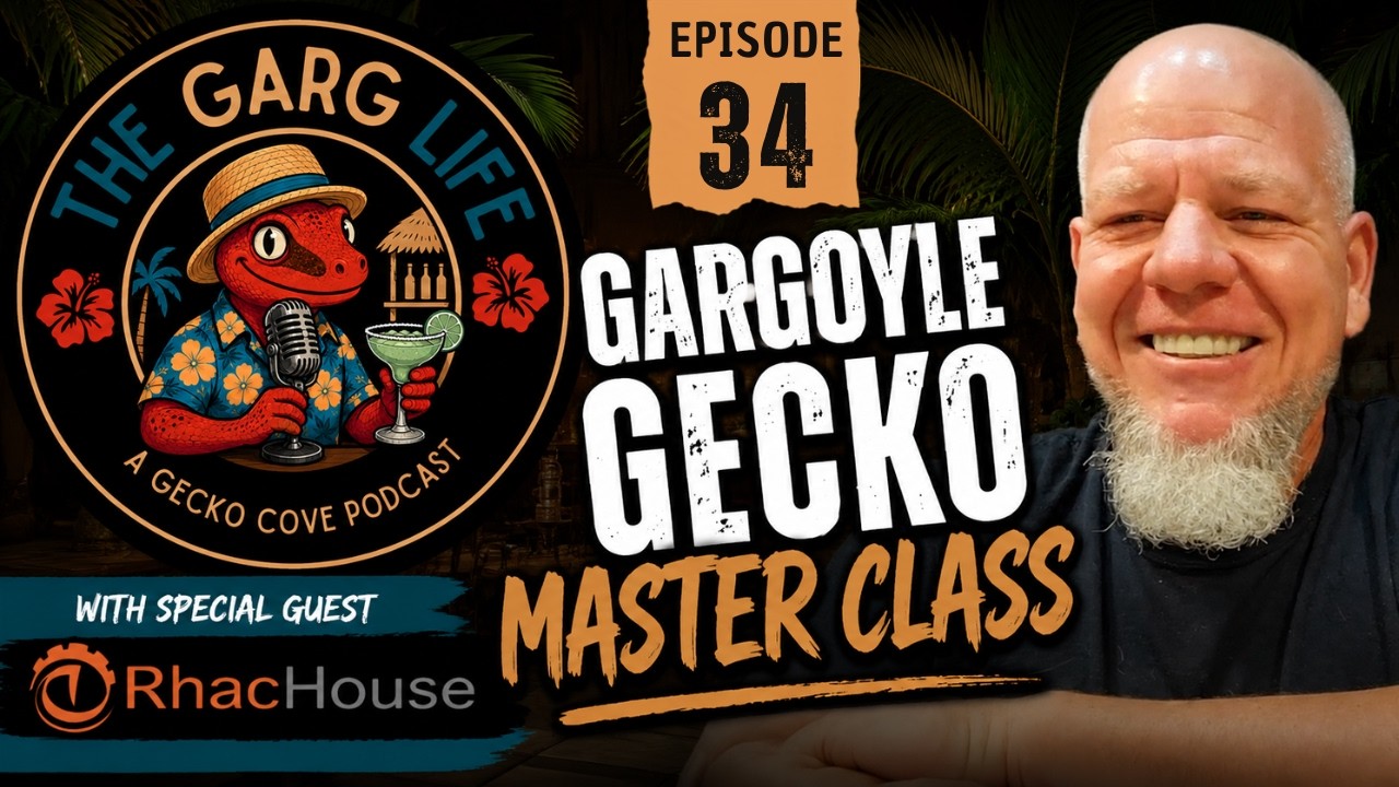 Gargoyle Gecko Master Class - GeckoCoveConnection - RhacHouse
