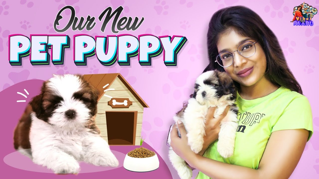 Our New Pet Puppy ♥️ Trippy 🐶