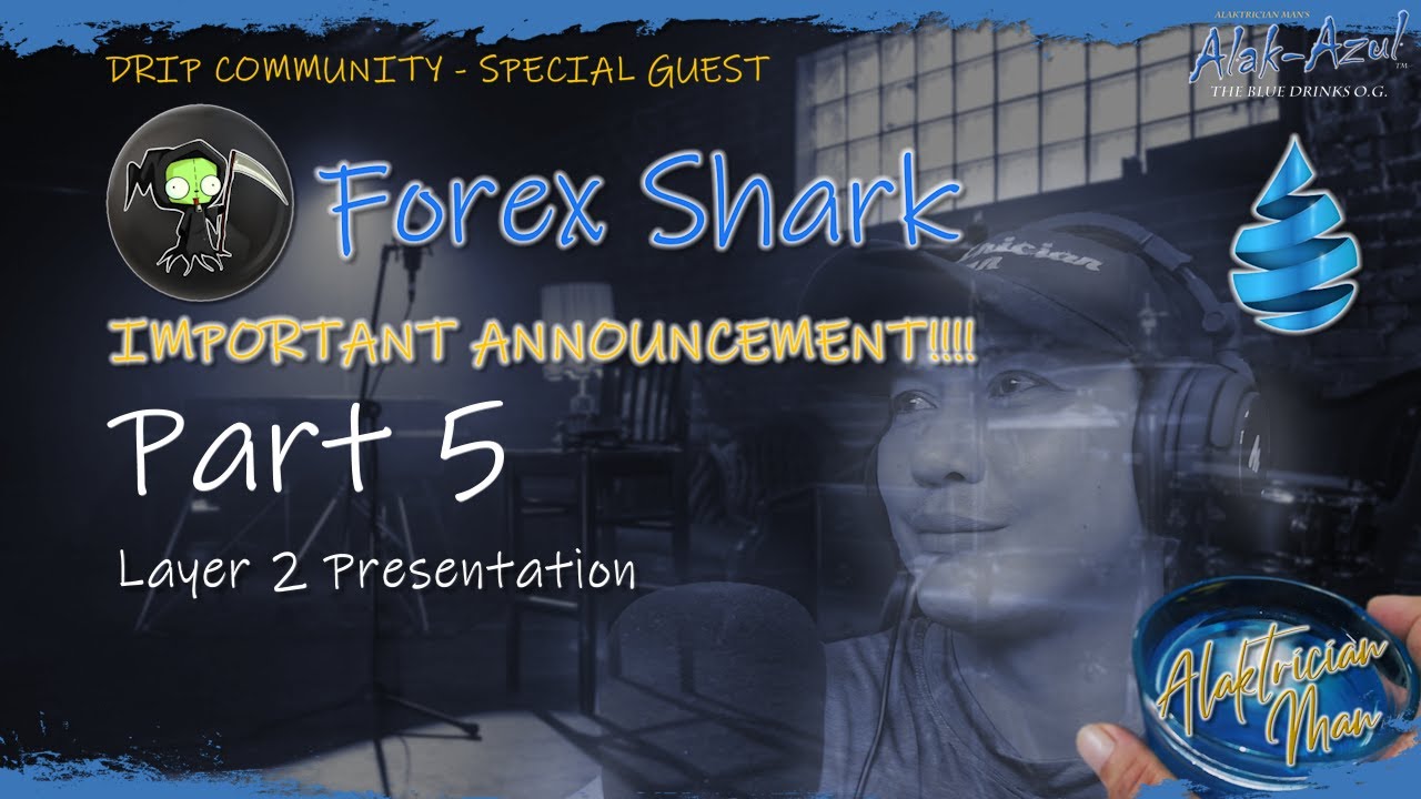 FOREX SHARK Part 5 - Layer 2 Presentation