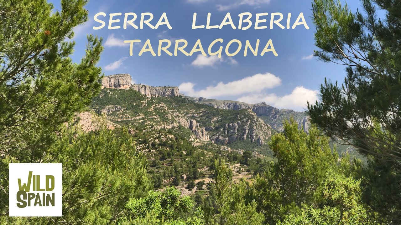 Wild Spain - Capítulo 171 - Espai Natural Protegit de la Serra Llaberia, Tarragona.