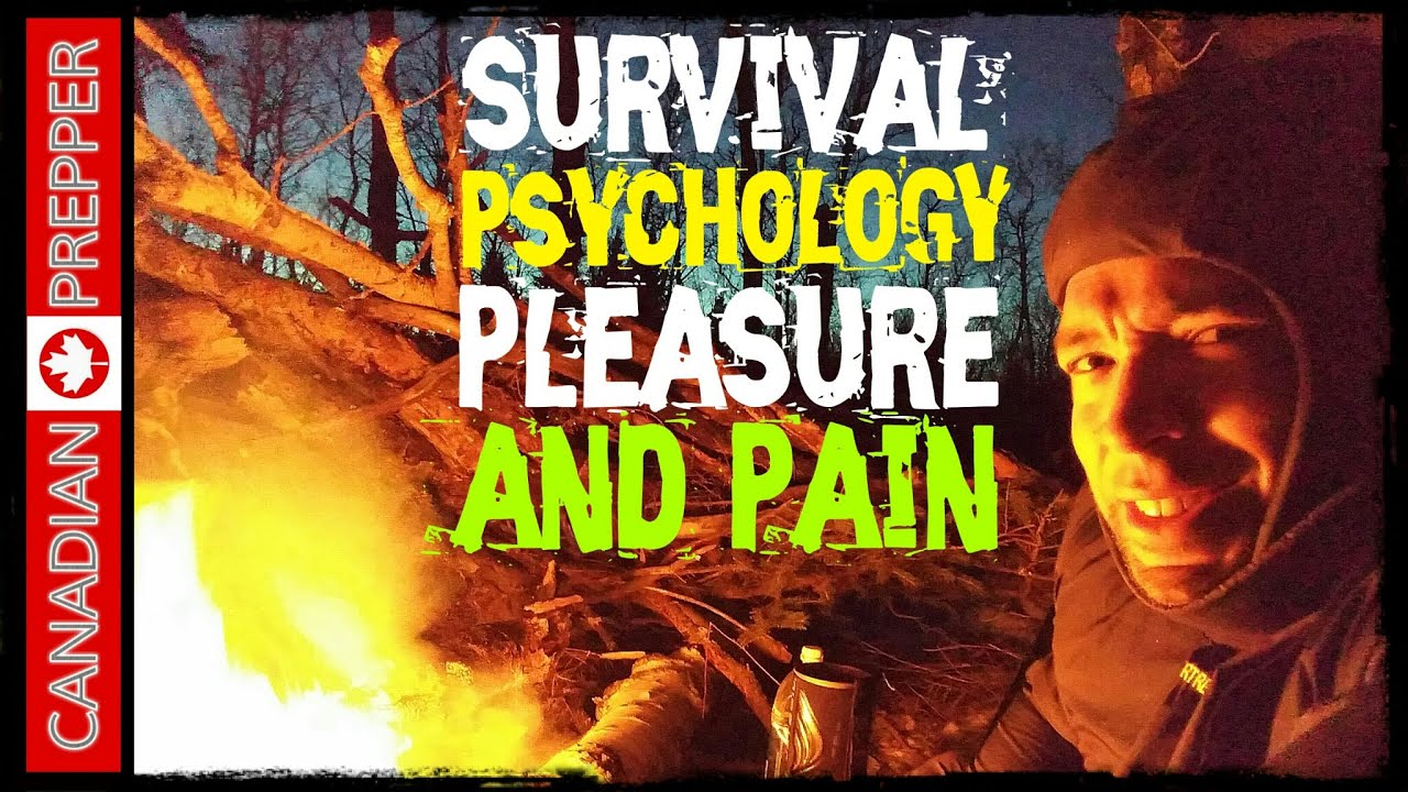 Psychology of Survival: Pleasure and Pain