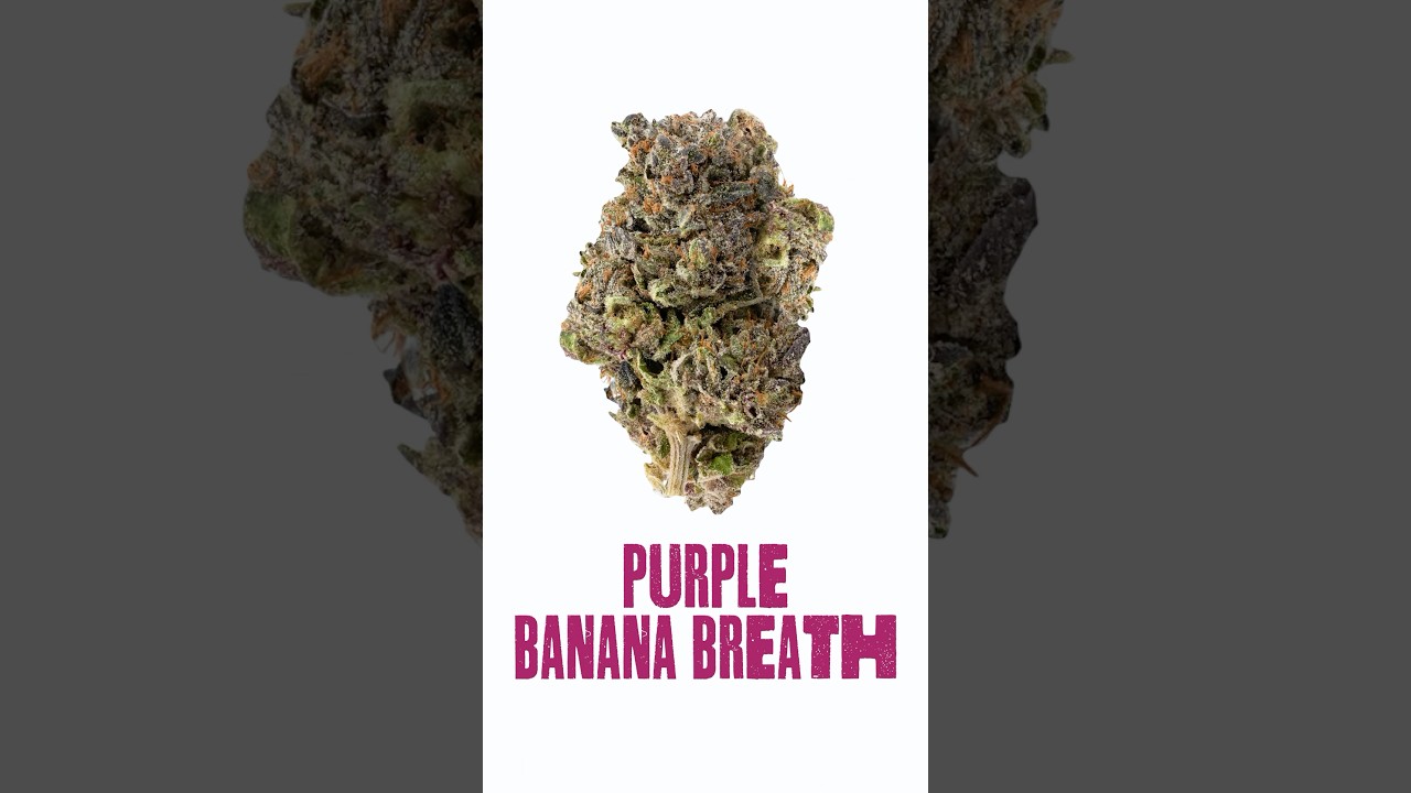 I tried Purple Banana Breath #indica #purplebananabreath #review