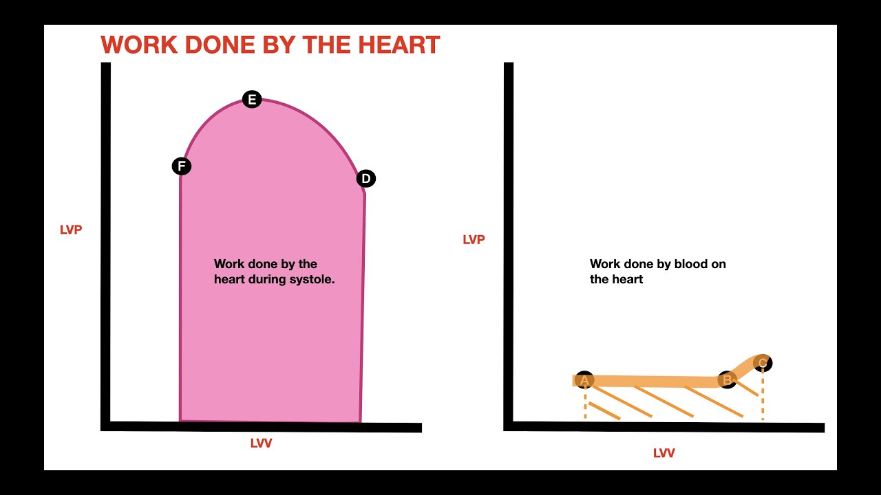 WORK AND THE HEART