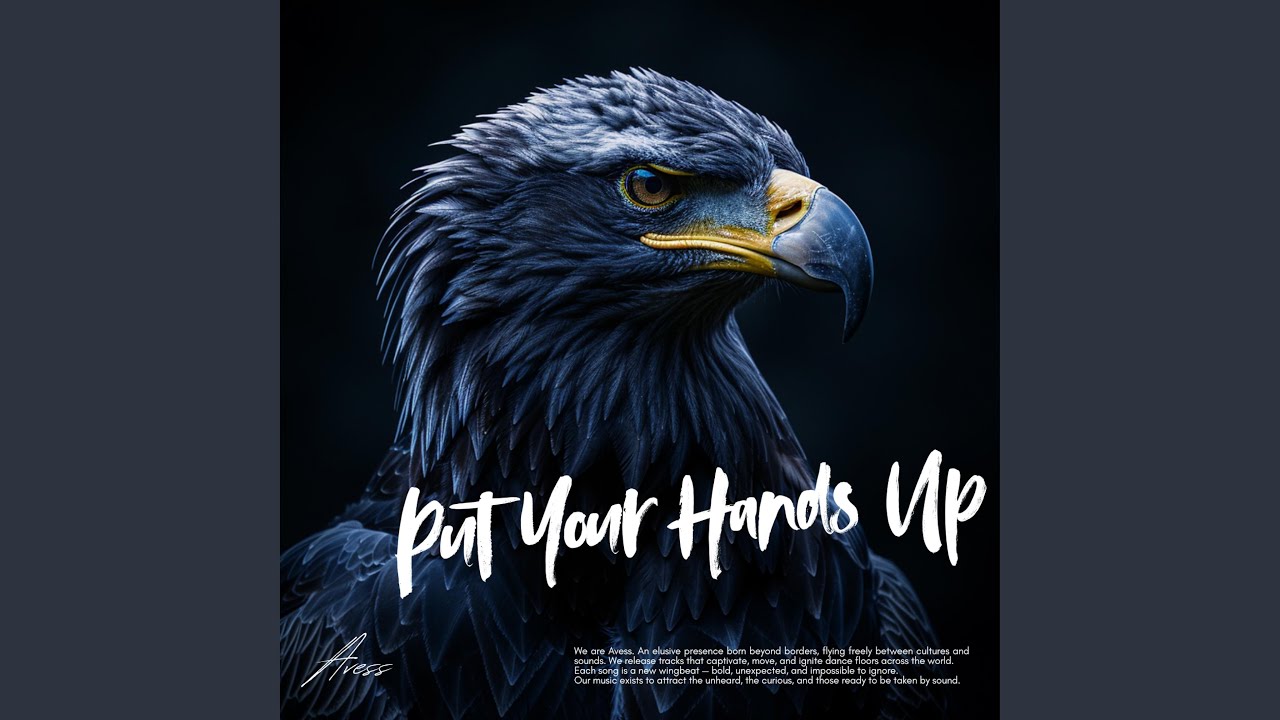 Put Your Hands Up