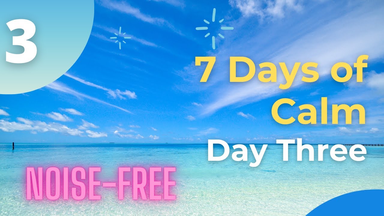 [noise-free] The 7 Days of Calm | Day 3 :  Paying Attention | Meditation