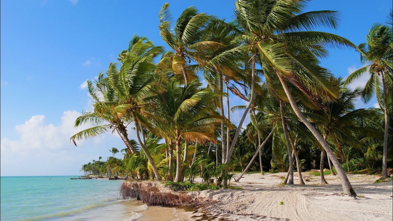 Voyage en République Dominicaine à Punta Cana & Samana
