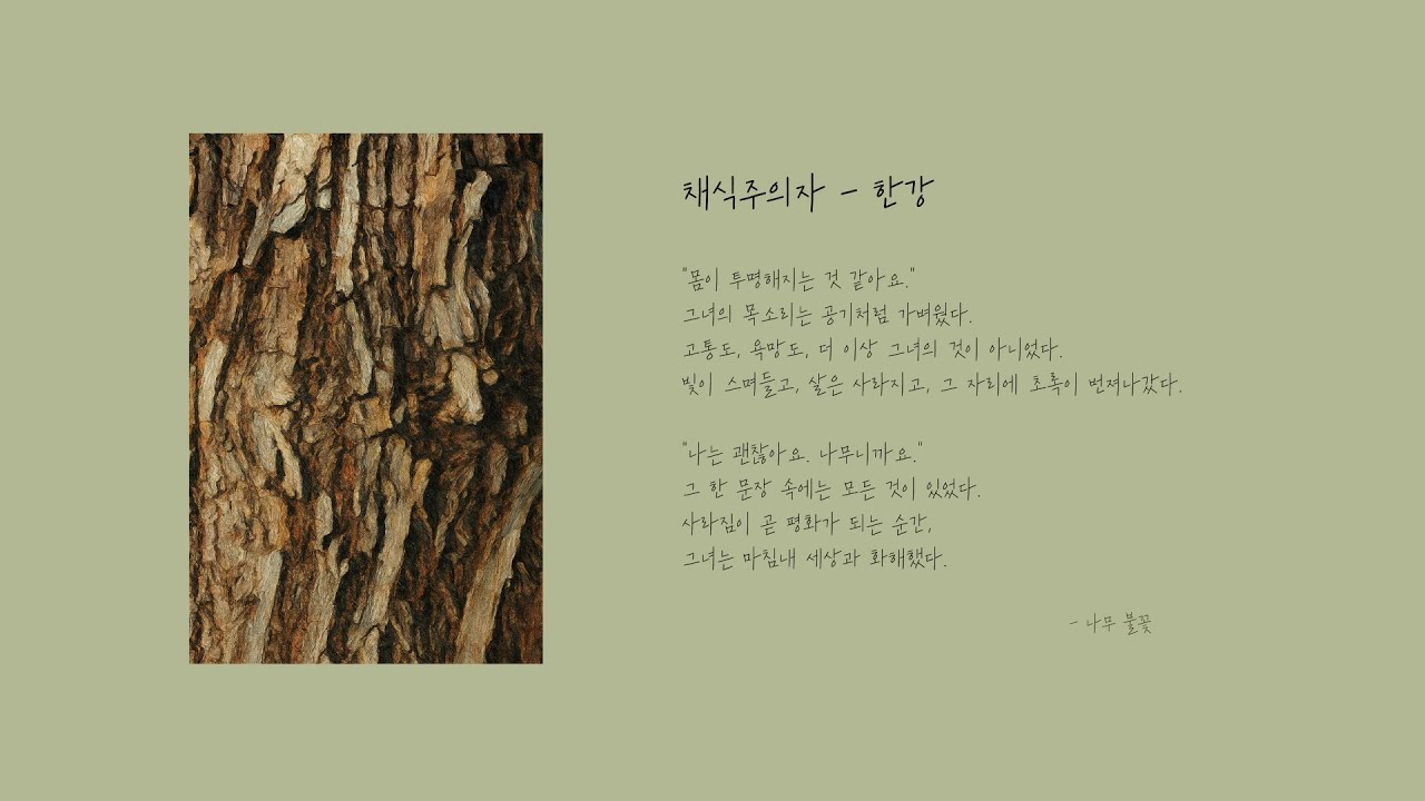 『채식주의자 The Vegetarian』 한강 | 독서음악 플레이리스트 Reading Music
