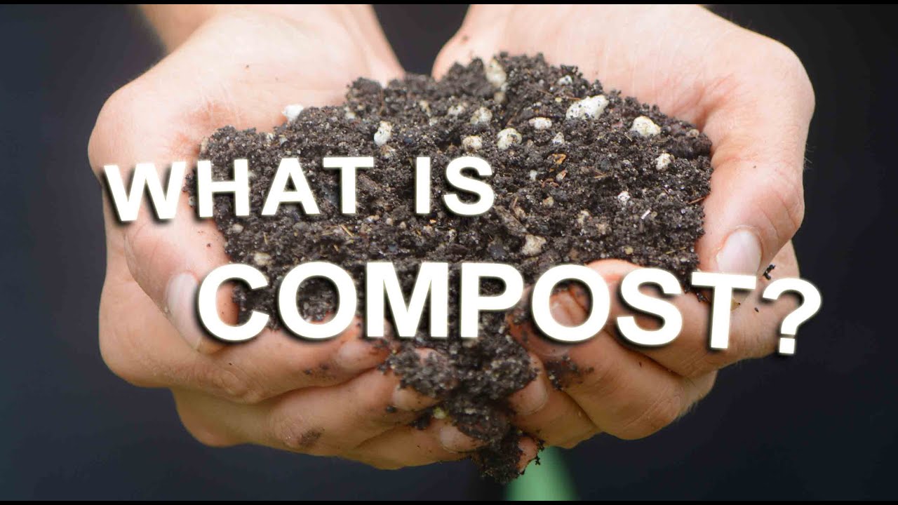 What Is Compost?: Easy and Simple