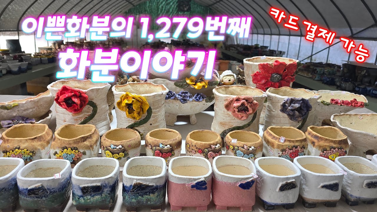 2월 1일 #이쁜화분 1279번째 화분이야기