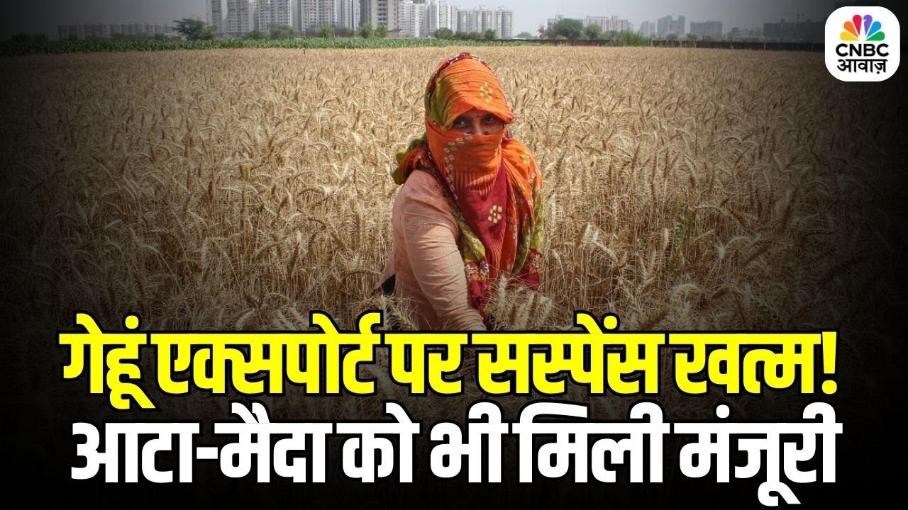 Wheat Export Policy Update: गेहूं एक्सपोर्ट पर सस्पेंस हुआ खत्म! आटा-मैदा को मिली मंजूरी