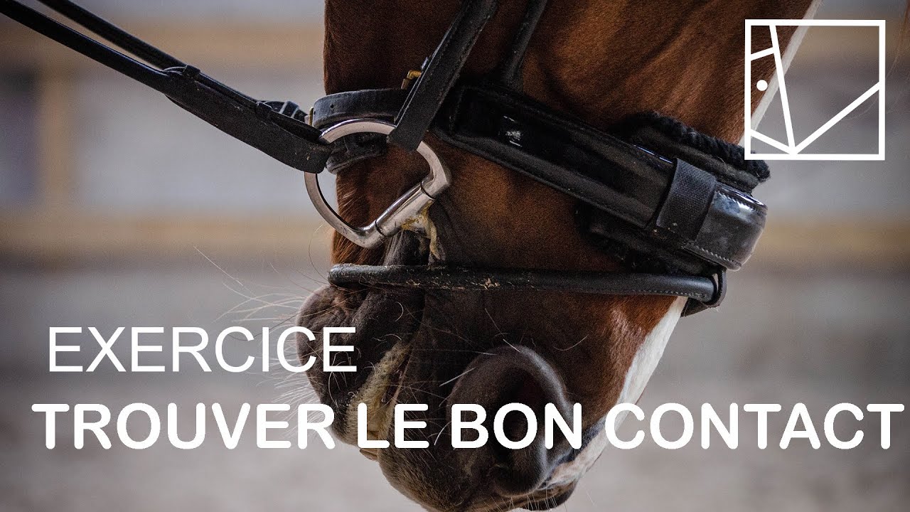 LE SECRET DU BON CONTACT / SERIE TECHNIQUE #15 /