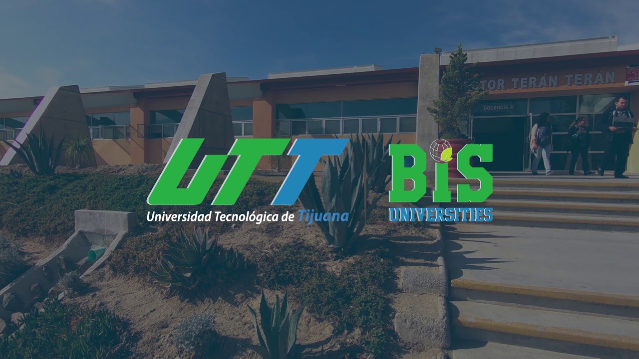 UTT, la mejor opción