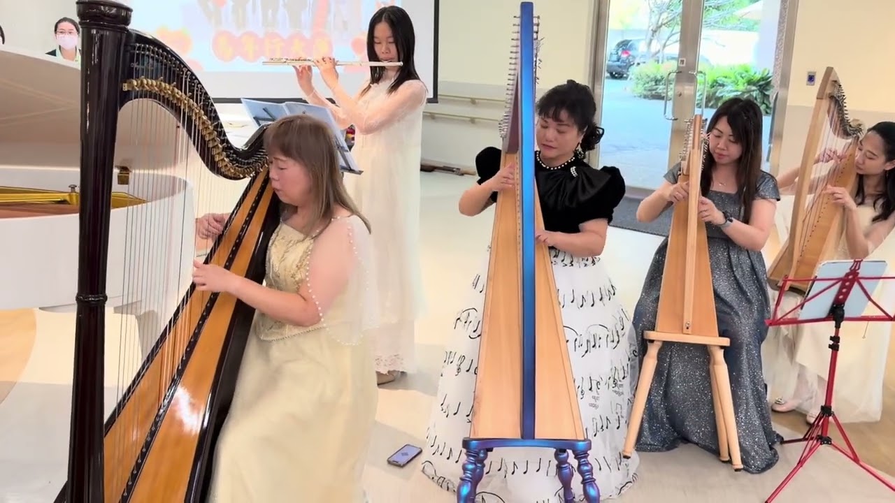 鐵達尼號主題曲 豎琴 大提琴 長笛 特殊樂器 慈濟仁愛歲末感恩餐會￼￼￼