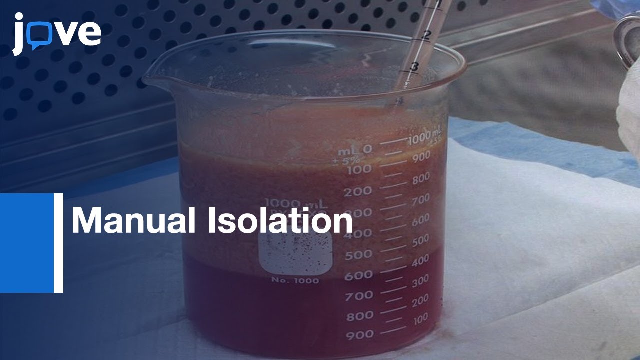 Manual Isolation Of Adipose-Derived Stem Cells From Human Lipoaspirates l Protocol Preview