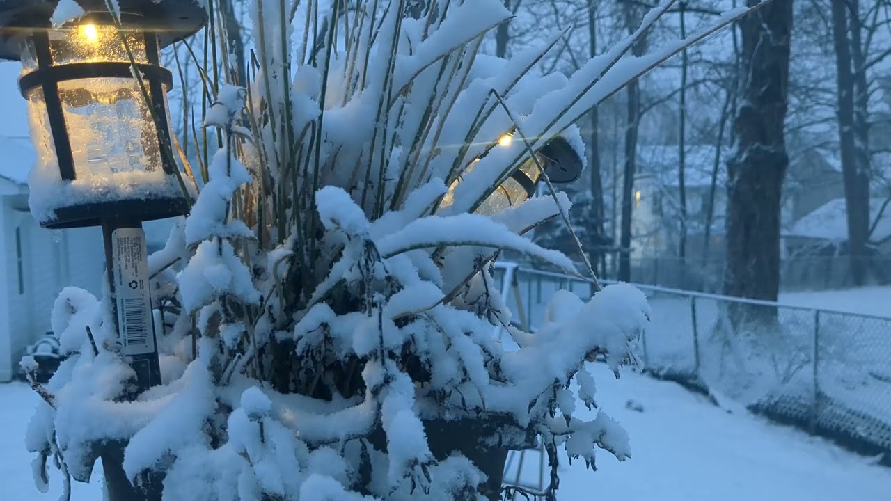 Solar light in winter /Klèté solè andan sézon fwédi